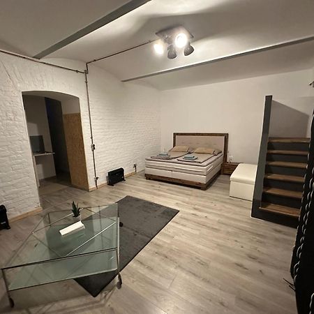 Atelier - Loft Schoenbrunn Apartment Viena Exterior foto